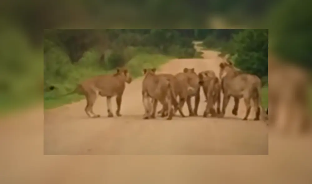 Desliza hacia la izquierda para ver las imágenes del video viral de YouTube.