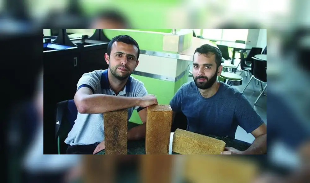 Ladrillos a base de verduras