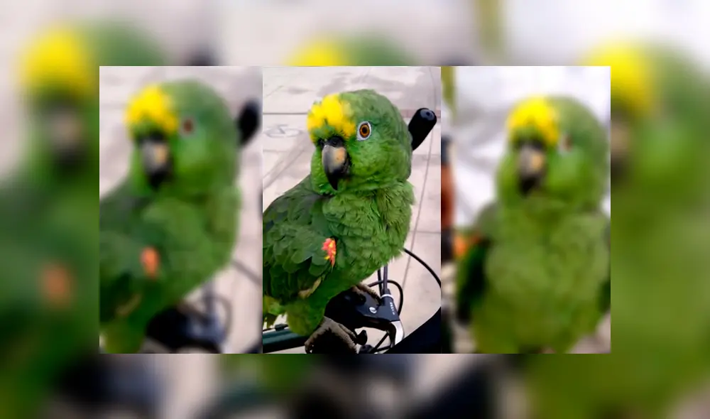 Desliza para ver los detalles del video viral publicado en YouTube. Foto: Captura. Desliza para ver los detalles del video viral publicado en YouTube. Foto: Captura.