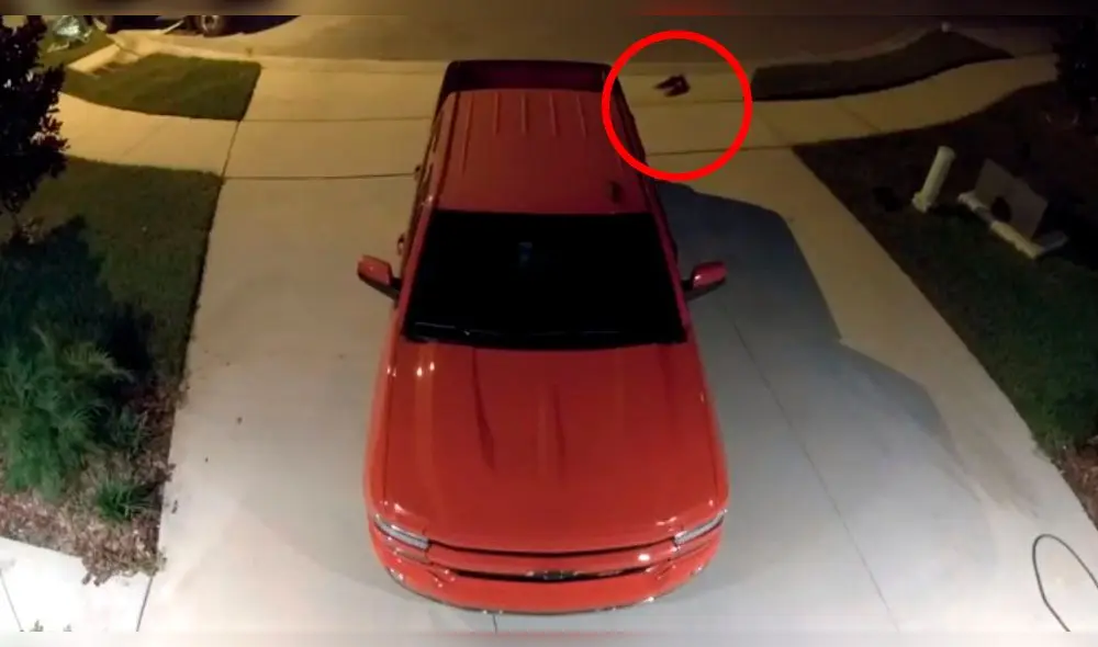 YouTube viral: hombre estaciona su carro y no nota la 'extraña' criatura que lo seguía [VIDEO]