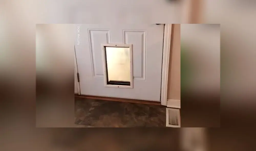 Desliza las imágenes para ver la furiosa reacción de un perro celoso al ver a la nueva 'mascota' de su dueña. Foto: Woof Woof Desliza las imágenes para ver la furiosa reacción de un perro celoso al ver a la nueva 'mascota' de su dueña. Foto: Woof Woof