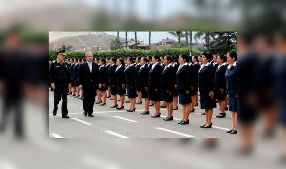 Proceso de asimilación PNP. Fuente: Difusión