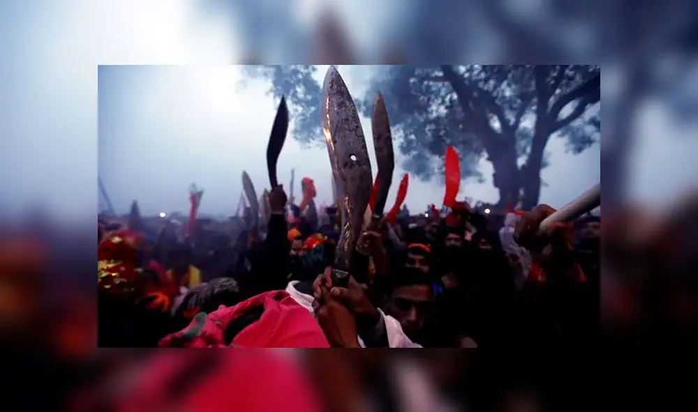 Pese a la labor de los animalistas, la carnicería no se detiene. Foto: Difusión Pese a la labor de los animalistas, la carnicería no se detiene. Foto: Difusión