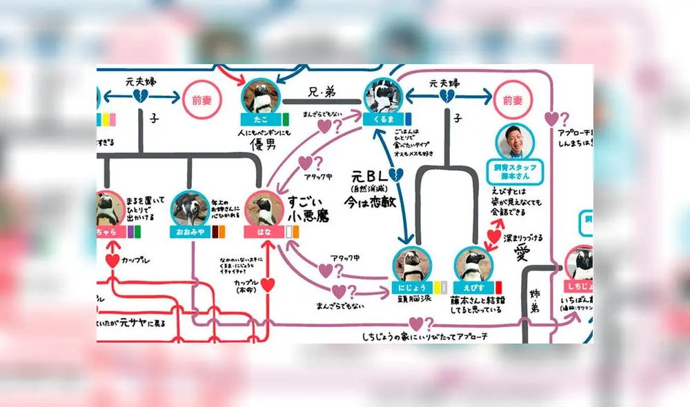Las relaciones sexuales entre pingüinos pueden darse sin distinguir el género y parentezco. Foto: Difusión
