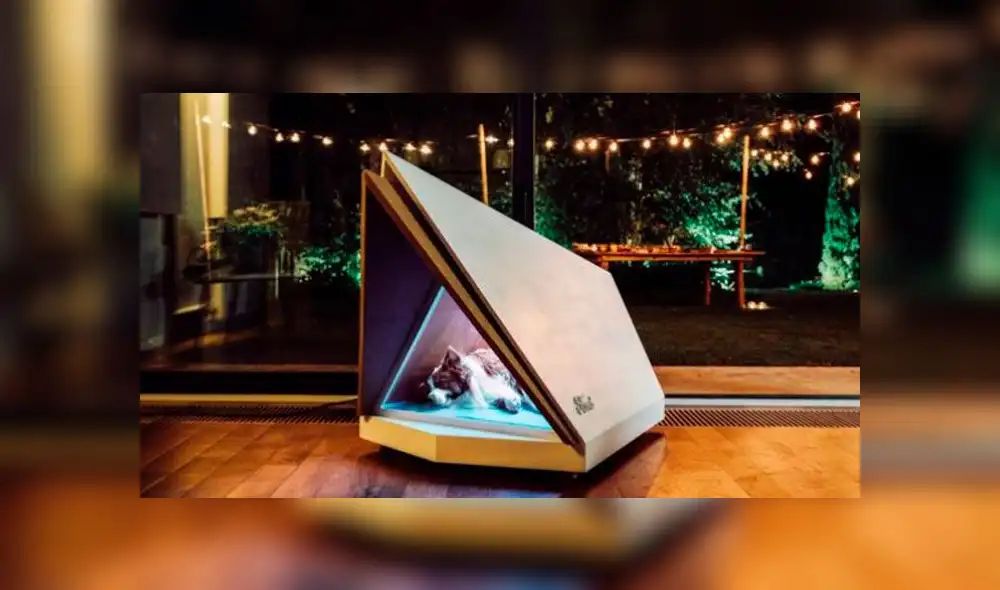 Ford podría crear casitas para perros que suprime los sonidos de los fuegos artificiales Ford podría crear casitas para perros que suprime los sonidos de los fuegos artificiales