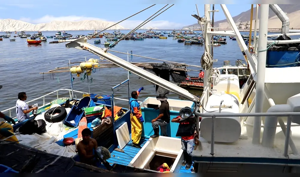 Embarcaciones serán revisadas de manera minuciosa. Embarcaciones serán revisadas de manera minuciosa.