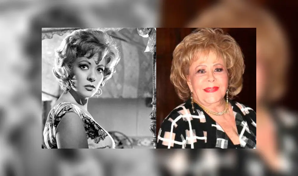 Silvia Pinal sufre desde hace unos meses serios problemas de salud luego de que le inyectaran polímeros en la cara. (FOTO: Instagram)