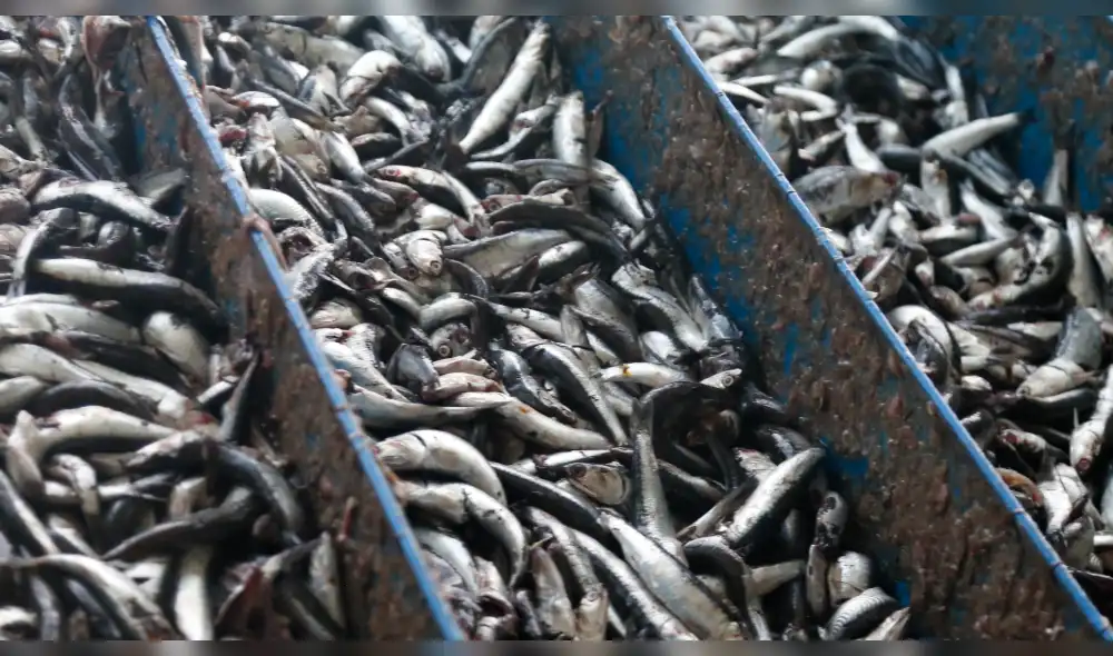 Aprueban Plan Estratégico Institucional 2019-2022 del Fondo Nacional de Desarrollo Pesquero Aprueban Plan Estratégico Institucional 2019-2022 del Fondo Nacional de Desarrollo Pesquero