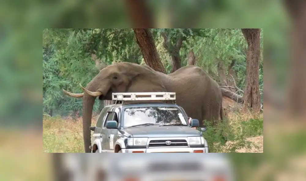 Desliza para ver las fotos que conmovieron a miles en Facebook. Foto: Captura. Desliza para ver las fotos que conmovieron a miles en Facebook. Foto: Captura.