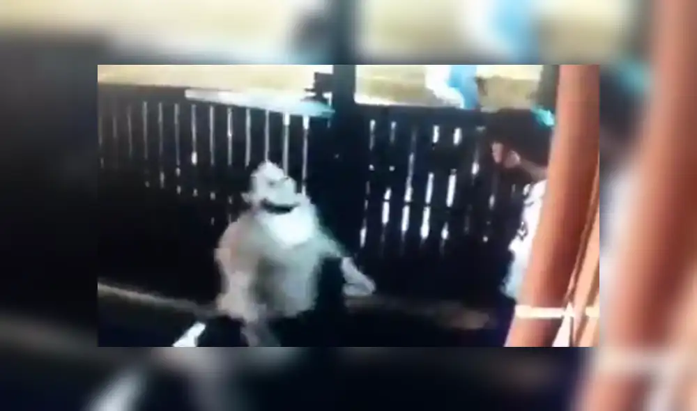 La mujer aún no ha sido identificada, pero debido a la violación de las medidas sanitarias, podría recibir entre cuatro y ocho años de cárcel. Foto: captura.