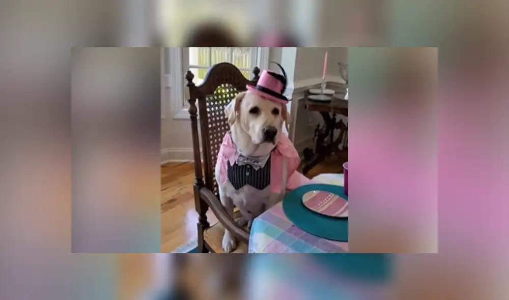 Desliza a la izquierda para ver más imágenes de la increíble celebración que se hizo viral en Facebook.