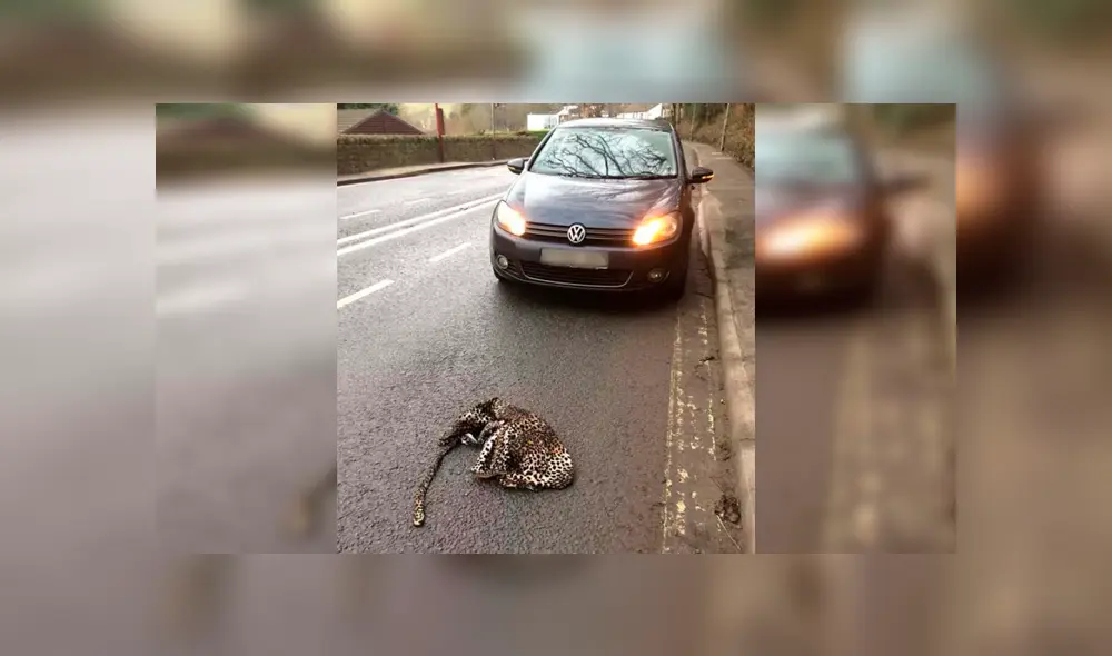 Desliza para ver los detalles de esta historia que se viralizó en Facebook. Foto: Captura.