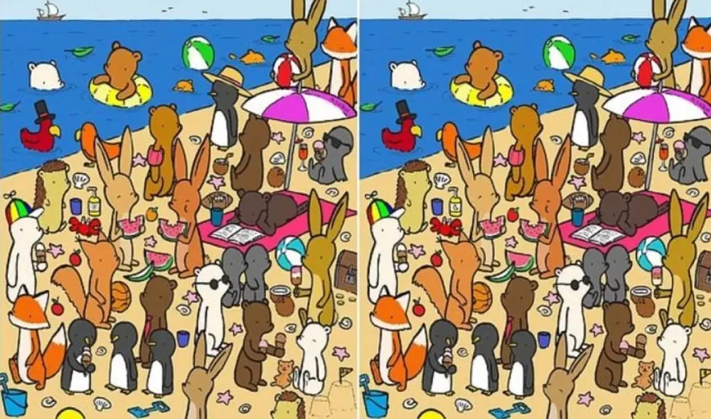 Desliza la ver la solución a este reto visual. Foto: Facebook/Dudolf.com Desliza la ver la solución a este reto visual. Foto: Facebook/Dudolf.com