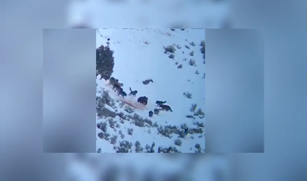 Desliza para ver los momentos más impactantes del video que se hizo viral en Facebook. Desliza para ver los momentos más impactantes del video que se hizo viral en Facebook.