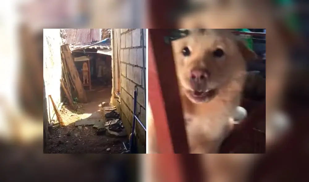 Desliza hacia la izquierda para ver más del video viral. Fotocaptura: YouTube Desliza hacia la izquierda para ver más del video viral. Fotocaptura: YouTube