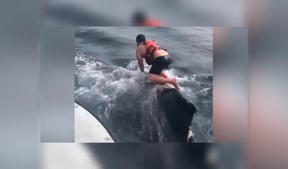 Mira la secuencia del video deslizando la imagen. Foto: Newsflare/YouTube Mira la secuencia del video deslizando la imagen. Foto: Newsflare/YouTube