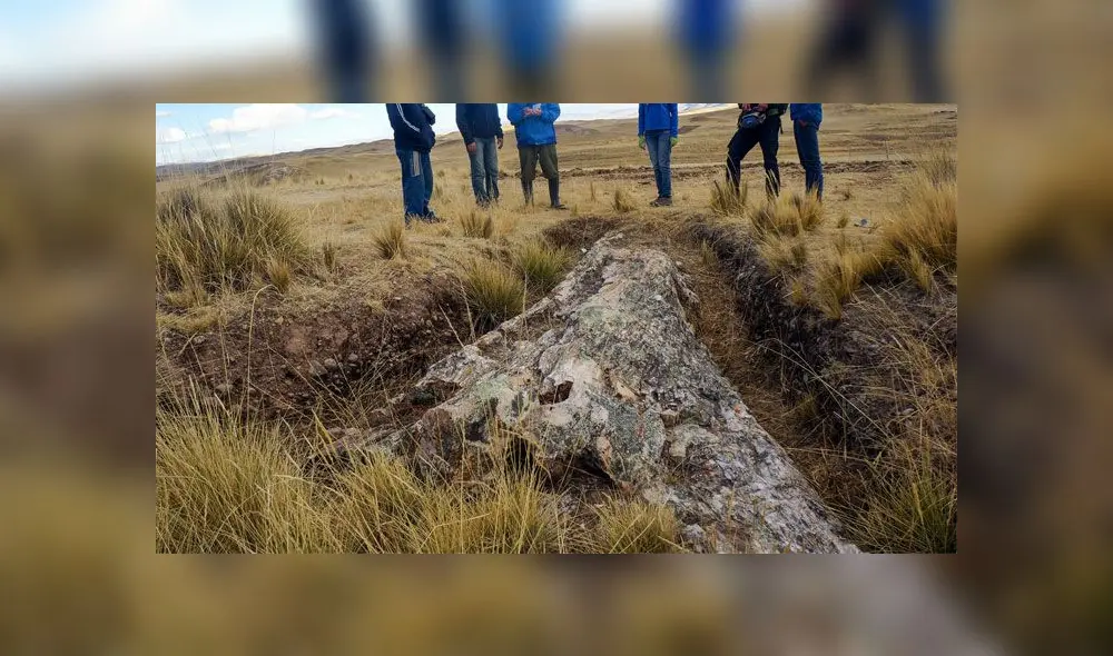 Árbol fósil encontrado en Cusco, Perú. Crédito: Rodolfo Salas Gismondi.