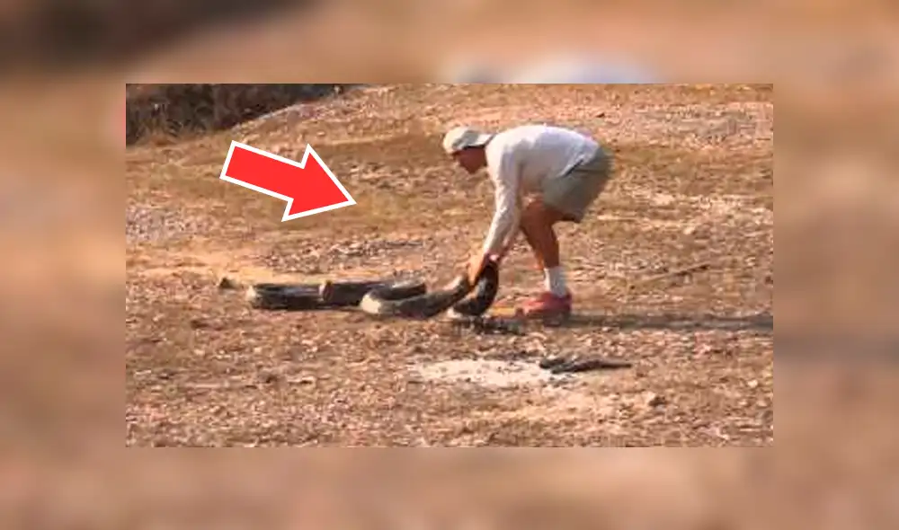 YouTube:Joven se arriesga y molesta a gigantesca serpiente cuando ocurre lo menos pensado