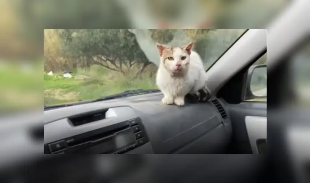 Desliza hacia la izquierda para ver más del video viral