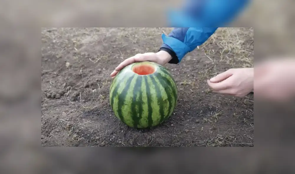 Facebook viral: realiza peligroso experimento con sandía y lava caliente que no debes imitar [VIDEO]