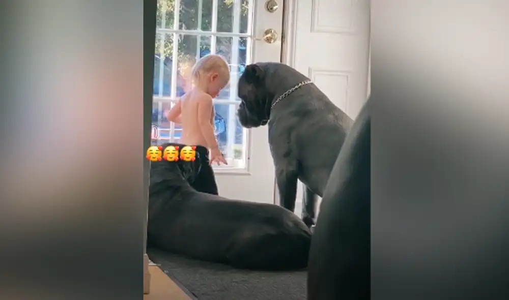 Desliza hacia la izquierda para ver las imágenes del video viral. Foto: captura de Facebook.