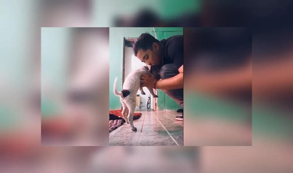 Desliza las imágenes para apreciar la conmovedora escena protagonizada por un joven junto a un perro. Desliza las imágenes para apreciar la conmovedora escena protagonizada por un joven junto a un perro.