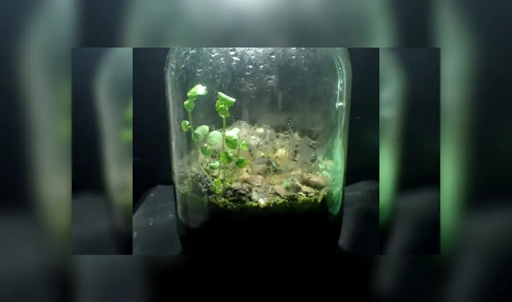 Desliza las imágenes para ver más detalles sobre este increíble experimento. (Foto: captura/Jartopia)