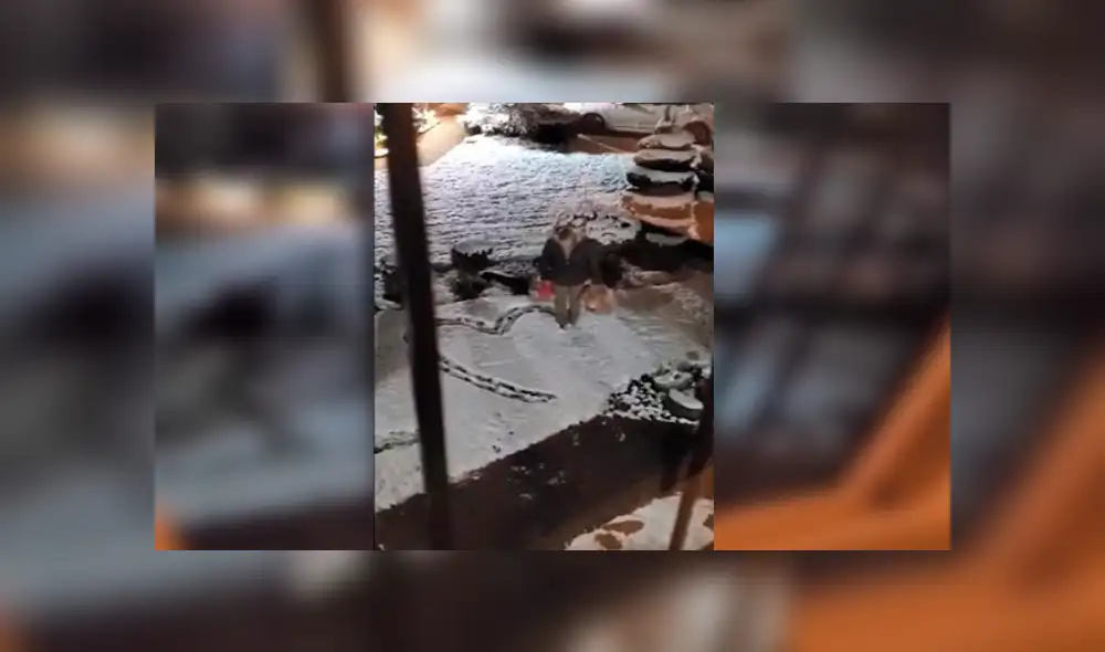 En Facebook, un hombre quería sorprender a su pareja con un amoroso gesto en la nieve y ella lo descubre. En Facebook, un hombre quería sorprender a su pareja con un amoroso gesto en la nieve y ella lo descubre.