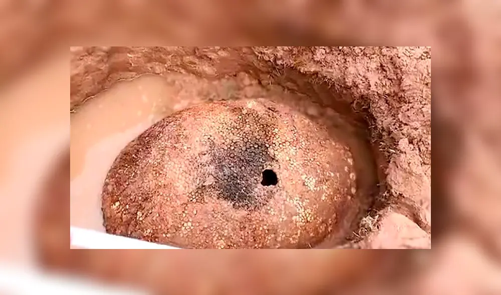 Desliza para ver más detalles de esta historia que se viralizó en Facebook. Foto: Captura. Desliza para ver más detalles de esta historia que se viralizó en Facebook. Foto: Captura.