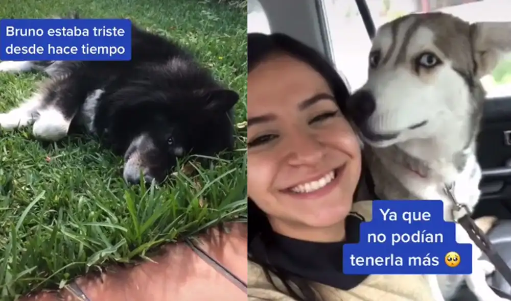 Desliza hacia la izquierda para ver más detalles sobre esta conmovedora escena viral. Foto: captura de TikTok Desliza hacia la izquierda para ver más detalles sobre esta conmovedora escena viral. Foto: captura de TikTok