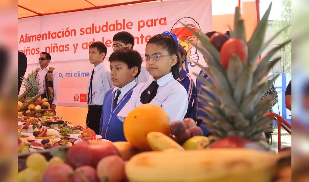 OPS preocupada ante intento del Congreso de eliminar los octógonos