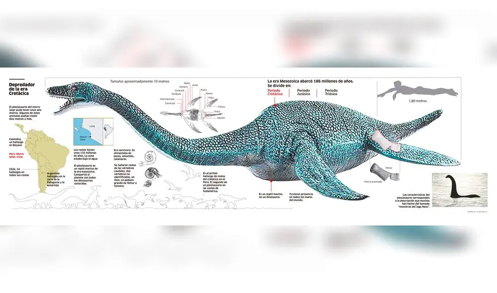 Plesiosaurio en Chorrillos