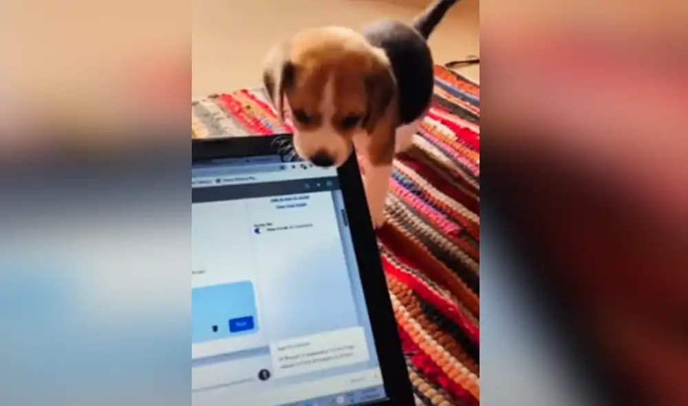 Desliza hacia la izquierda para ver las imágenes del video viral. Foto: Captura de YouTube. Desliza hacia la izquierda para ver las imágenes del video viral. Foto: Captura de YouTube.