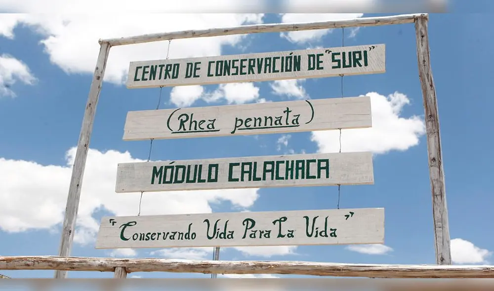 El PELT desarrolla una crianza en cautiverio al aire libre en un espacio de 140 hectáreas.