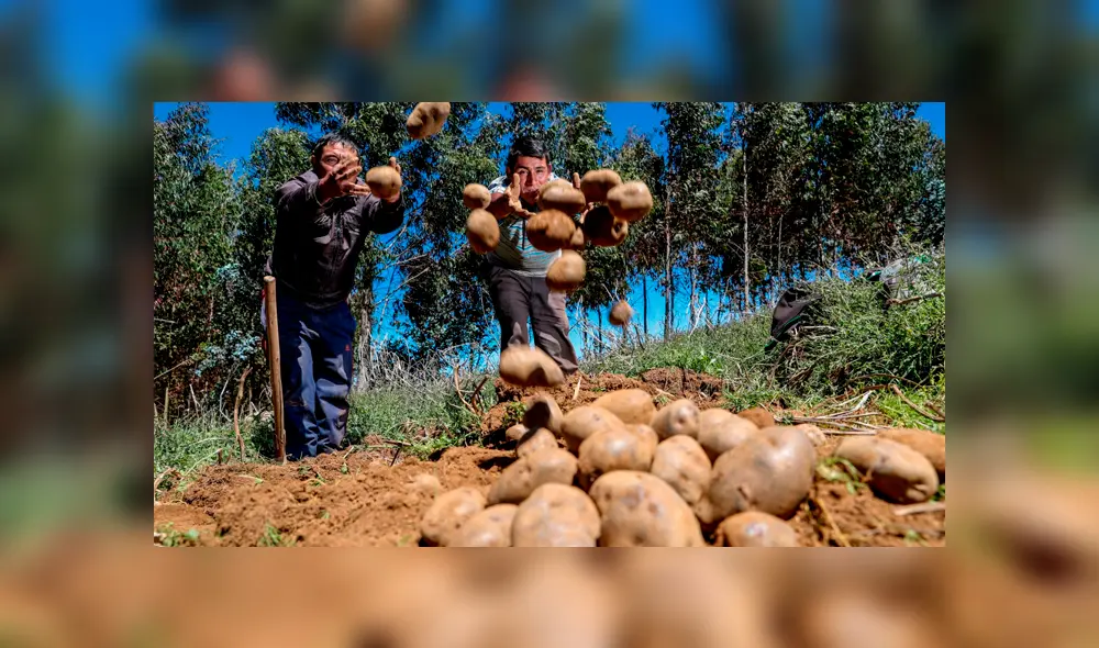 Bono Rural de 760 soles