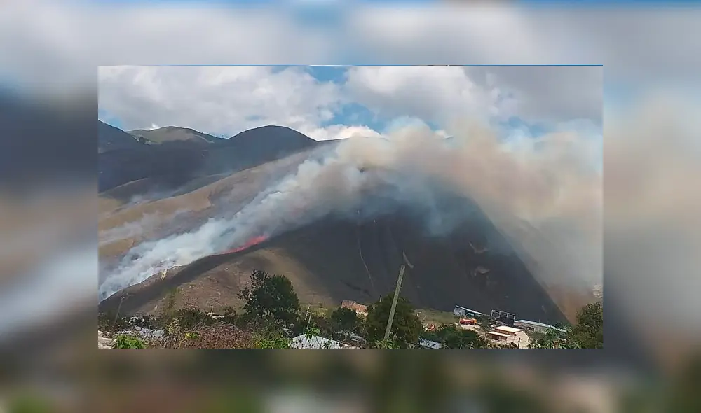 Gobernador de Amazonas informó que el incendio forestal en el distrito del Tingo ha sido controlado. Foto: La República