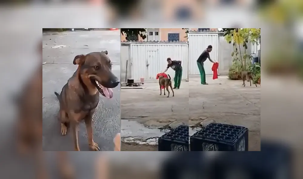 Desliza para ver los detalles del video viral publicado en YouTube. Foto: Captura. Desliza para ver los detalles del video viral publicado en YouTube. Foto: Captura.