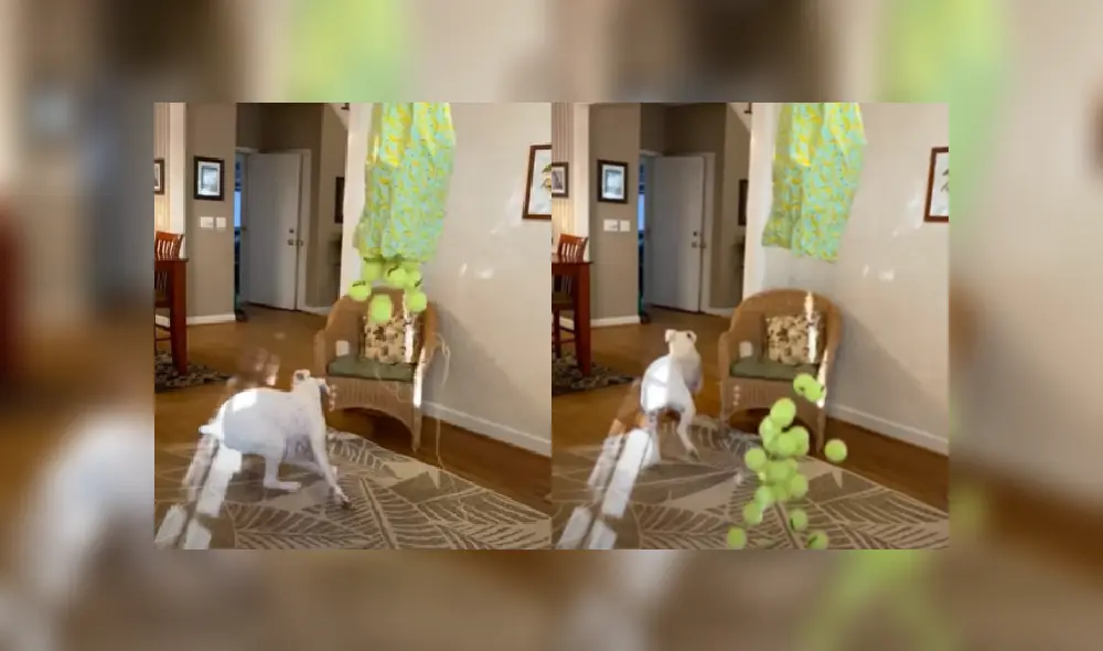 Desliza las imágenes para conocer más sobre esta graciosa escena de este perro que se hizo viral en Facebook.