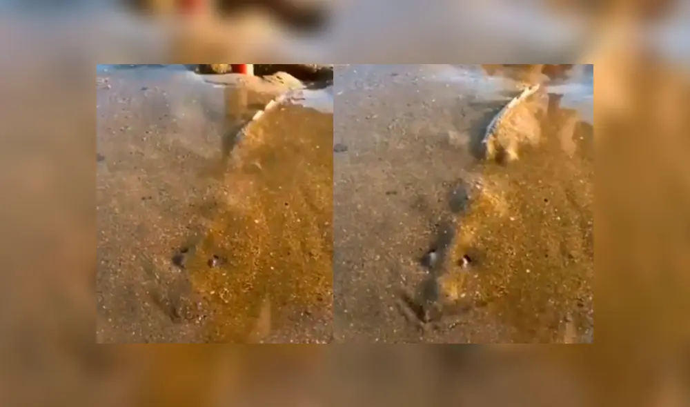 Facebook viral: se topa con misterioso lodo que ‘respira’, se asoma y descubre lo más insólito Facebook viral: se topa con misterioso lodo que ‘respira’, se asoma y descubre lo más insólito