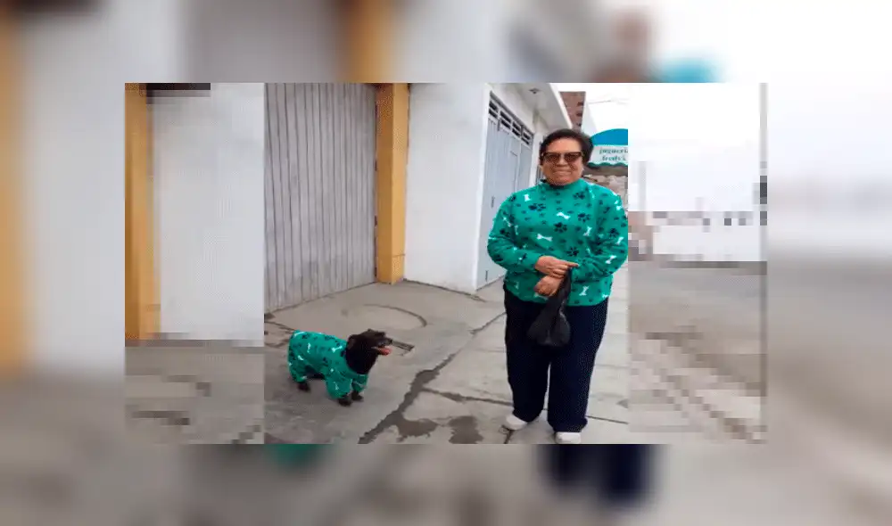 Cansada que su mascota sufra en invierno, mujer idea una solución y se lleva el aplauso de todos [VIDEO]