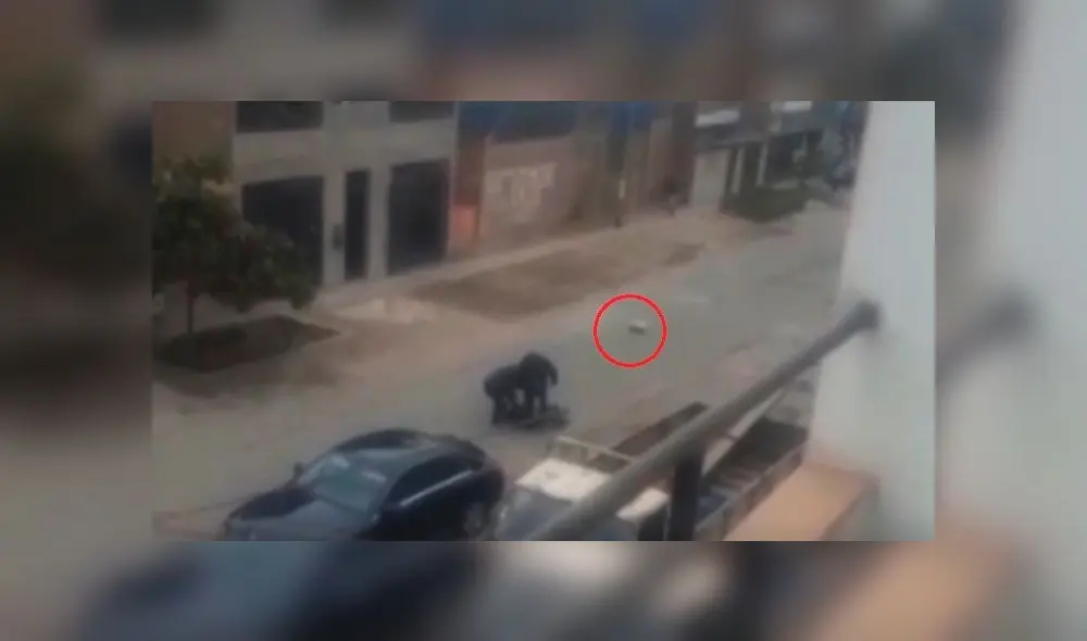 carabayllo asalto carabayllo asalto