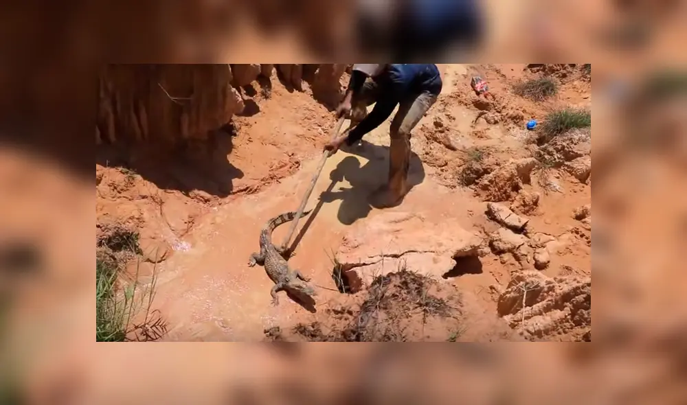 Desliza hacia la izquierda para ver el experimento que se viralizó en YouTube.