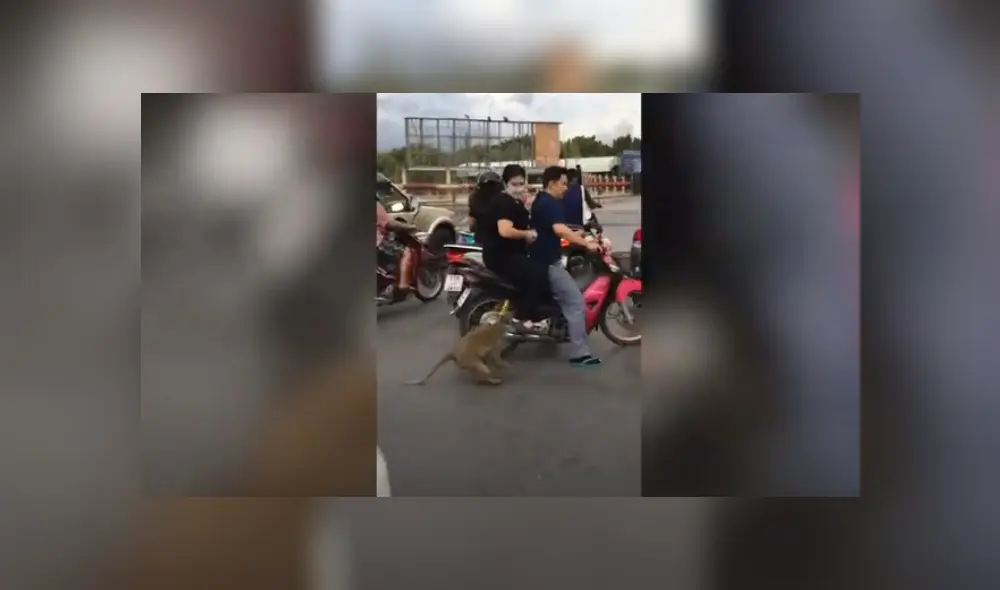 Desliza hacia la izquierda para ver más del video viral. Fotocaptura: YouTube Desliza hacia la izquierda para ver más del video viral. Fotocaptura: YouTube