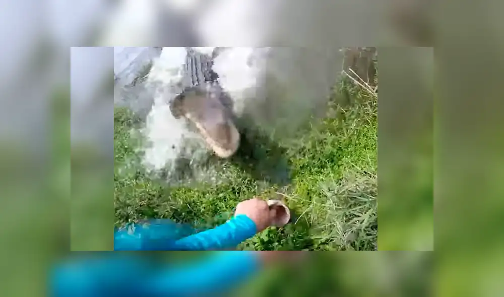Video de Youtube muestra el aterrador momento que vivió un pescador cuando fue sorprendido por un enorme cocodrilo que salió intempestivamente de un lago para atacarlo Video de Youtube muestra el aterrador momento que vivió un pescador cuando fue sorprendido por un enorme cocodrilo que salió intempestivamente de un lago para atacarlo