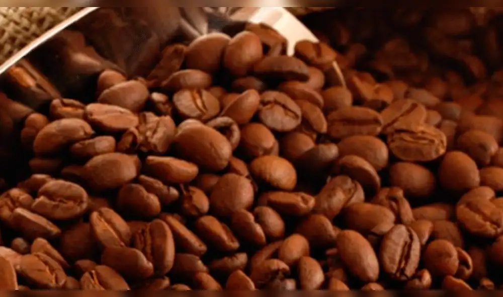 Café del Bosque de Protección Alto Mayo avanza en concurso “II Taza de Excelencia”  