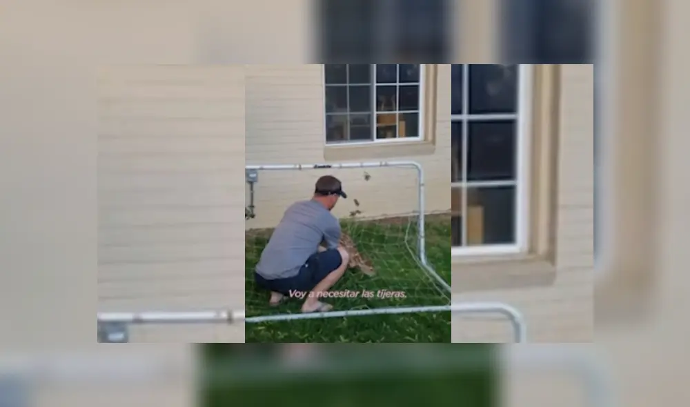 Desliza hacia la izquierda para ver más del video viral. Fotocaptura: YouTube