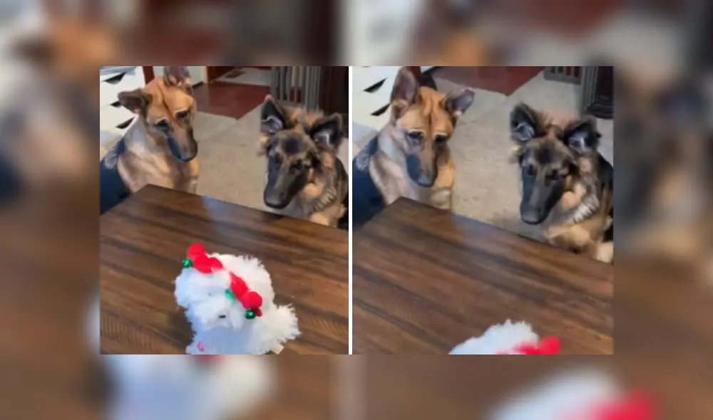 Desliza las imágenes para ver más detalles de esta curiosa escena viral de YouTube. Desliza las imágenes para ver más detalles de esta curiosa escena viral de YouTube.