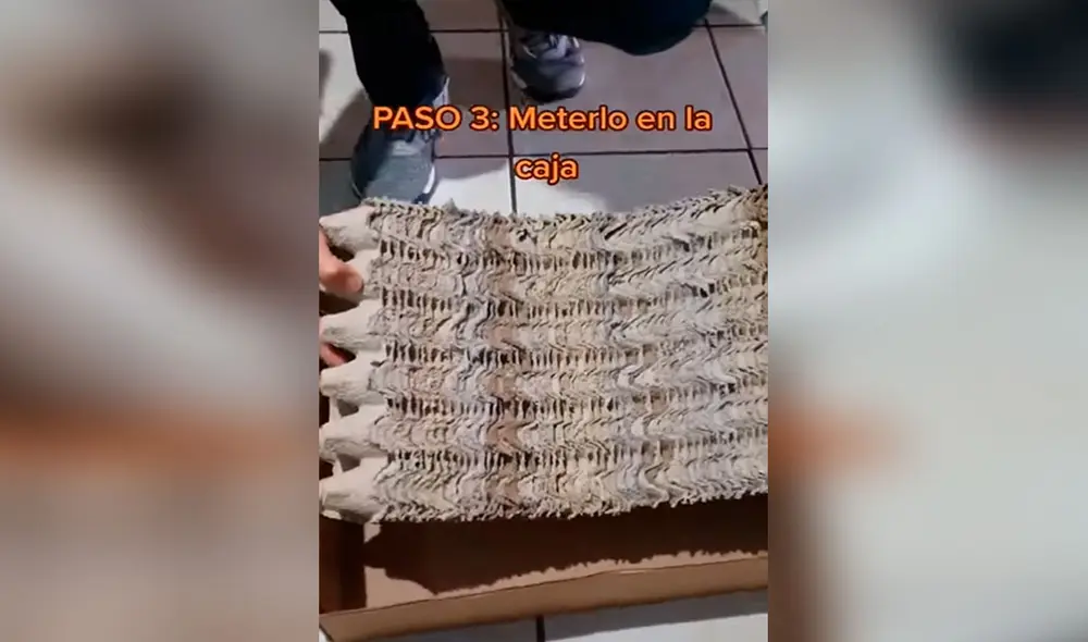 Desliza las imágenes para conocer la ingeniosa idea que tuvo una joven al fabricar un rascador para su gato. Foto: captura de TikTok