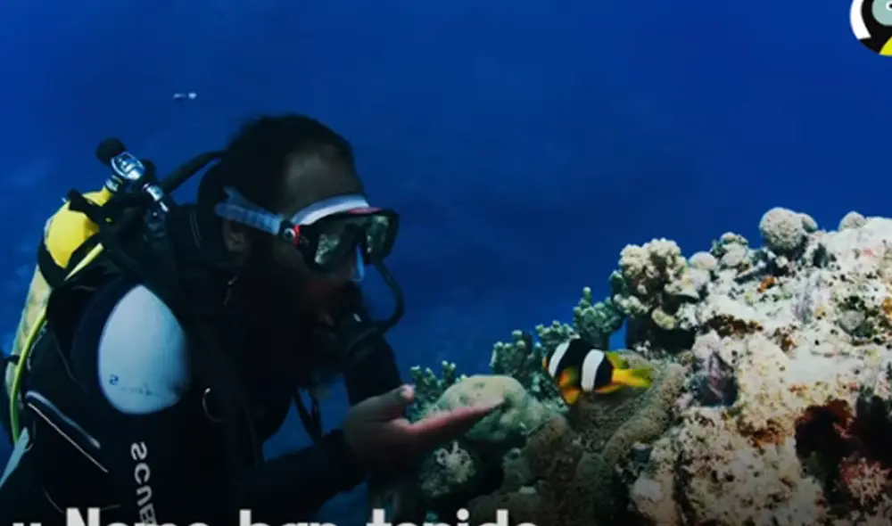 Desliza hacia la izquierda para ver las imágenes del video viral. Foto: captura de YouTube.