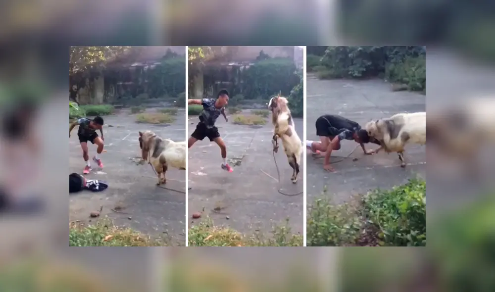 Los niños y jóvenes que fueron testigos del hecho se rieron al ver el enfrentamiento.